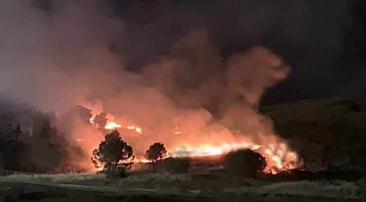 Incendio doloso in parco Crotone, appiccato in tre punti Sindaco, "atti criminali, vigliacchi"