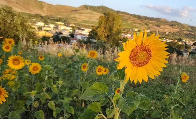 Poesia. Versi e canti di Walter Perri: “Correrò”