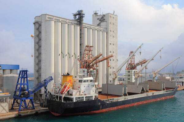 Ucraina, grano rubato: fermata nave russa in Turchia
