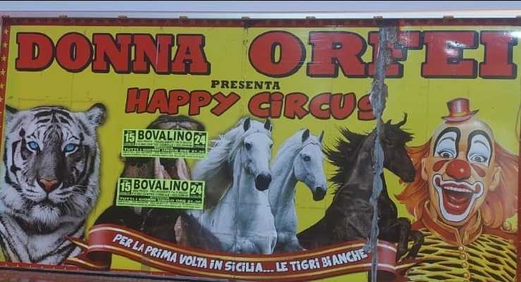 Bovalino: l'Appy Circus-Donna Orfei ci fa ritornare alla "normalità". Grande successo!