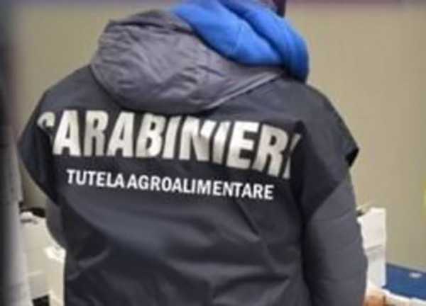Truffe: contributi illeciti in agricoltura, sequestro beni in Calabria