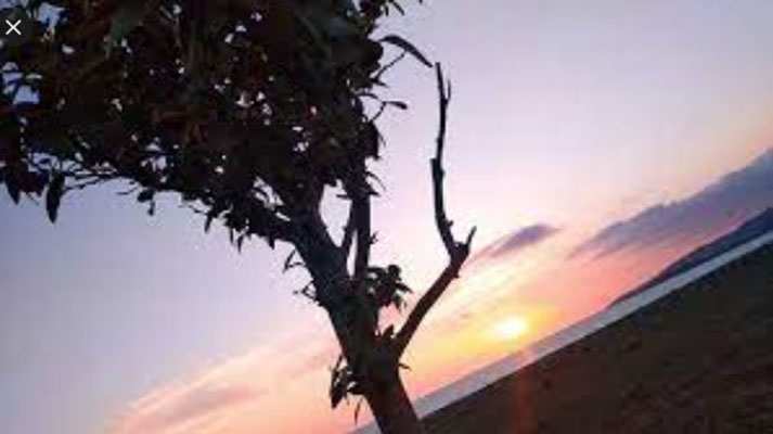 Poesia. Versi di Walter Perri: "Il fiore nel bicchiere”