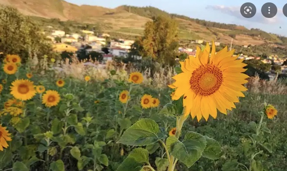 Poesia. Versi di Walter Perri: "BELLI (Occhi di sole, occhi di luna)”