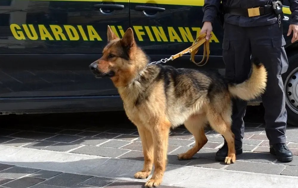 Corrieri della morte. Verso Sicilia con 43 kg di droga, arrestati autotrasportatori