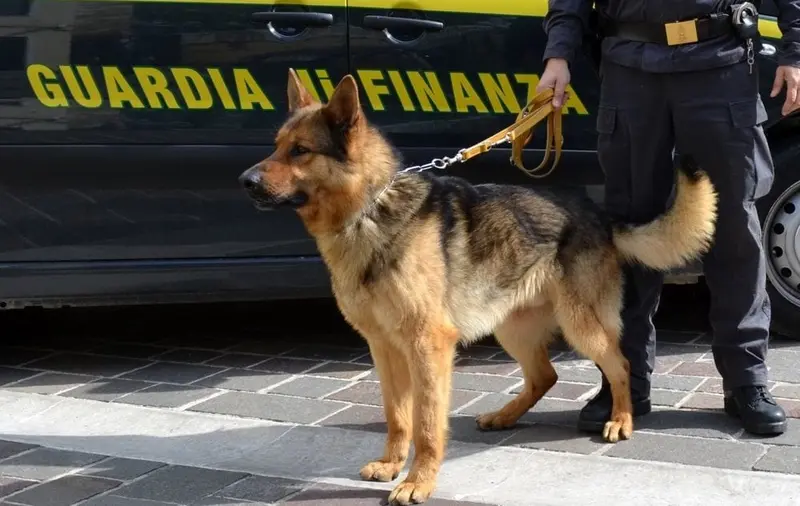 Corrieri della morte. Verso Sicilia con 43 kg di droga, arrestati autotrasportatori