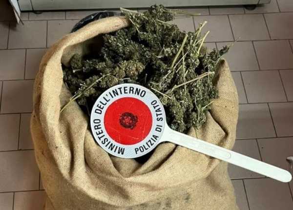 Droga: oltre 6 kg di marijuana sequestrati nel Crotonese