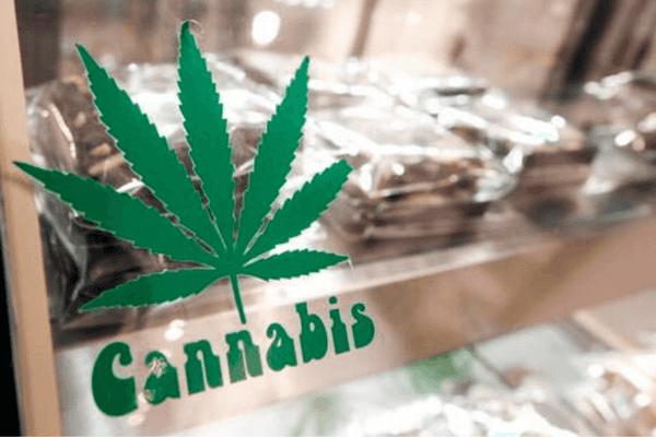 Cannabis: sì Consiglio regionale Calabria ad uso terapeutico