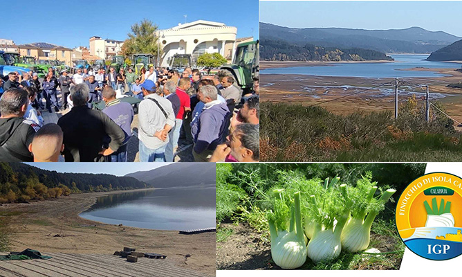 A2A paghi i danni agli Agricoltori del Crotonese