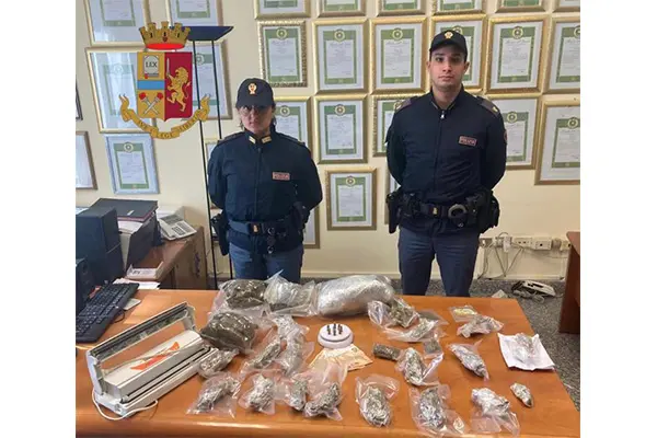 Droga: Calabria, aveva in casa 2kg di marijuana e munizioni, arrestato, i dettagli