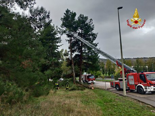 Maltempo: vento forte nelle Marche, tanti interventi  dei Vvf