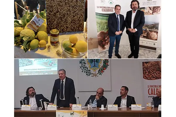 Soverato (Cz), successo per la seconda edizione dell’appuntamento “No&Mi” i dettagli