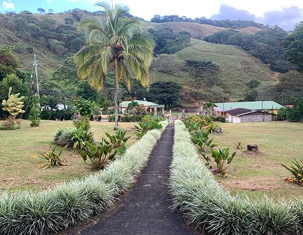 Un caffè tropicale nella Torino della Costarica