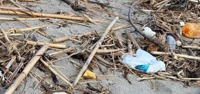 Sellia Marina, domenica all'insegna del Plastic Free