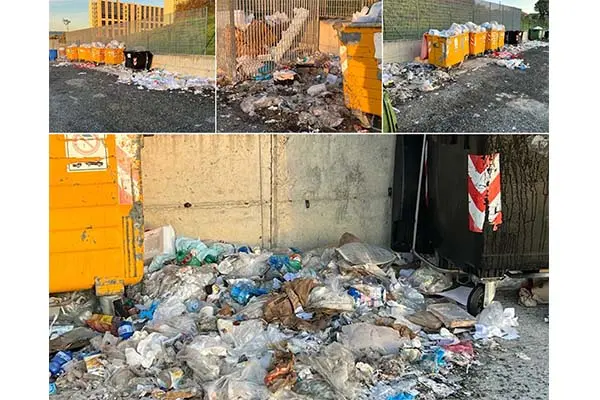 CSA-CISAL: “La Cittadella Regionale presa d’assalto dai Cinghiali” (Foto e Video)