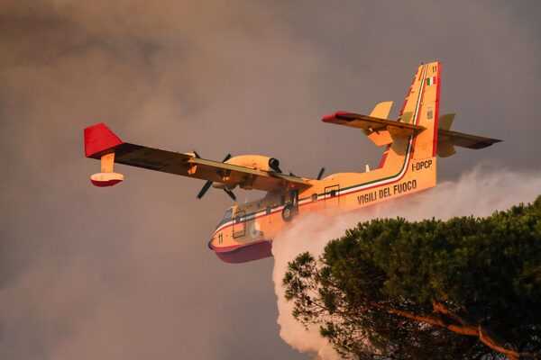Incendi, Vigili del Fuoco a lavoro da 2 giorni, bruciati più di 100 ettari di bosco