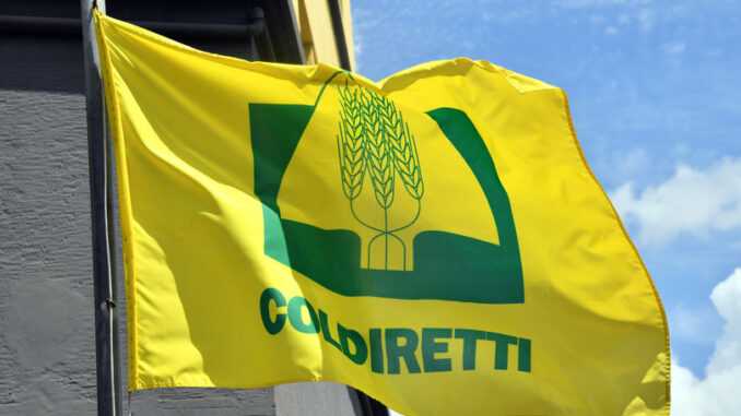 Cosenza, giovani agricoltori della Coldiretti protestano per salvare la frutta italiana