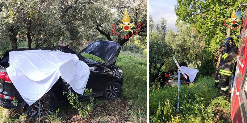 I Vvf intervengono in incidente mortale nel catanzarese, auto impatta violentemente contro un grosso albero