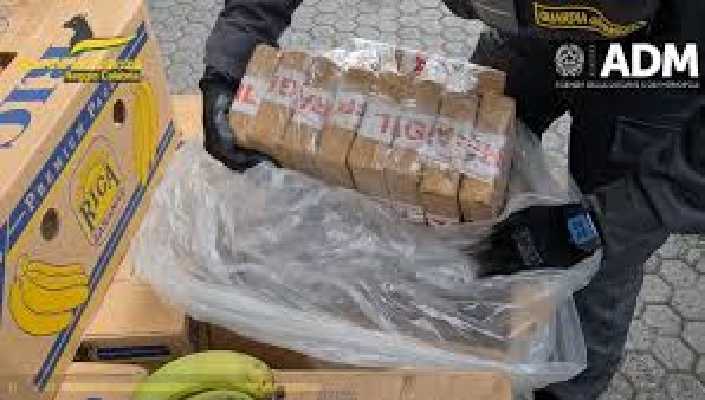 Droga. Sequestro record di cocaina nel porto di Gioia Tauro: 3 tonnellate nascoste tra le banane