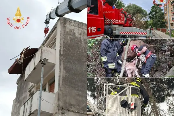 Emergenza meteo in Calabria: Vvf sfidano il maltempo per 12 ore