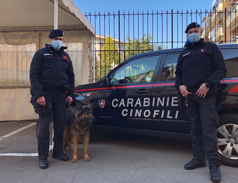 Panettiere nel cosentino arrestato con droga nascosta nel suo magazzino