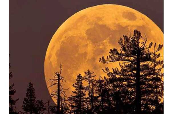 Ecco la Superluna del Cervo illumina i cieli del 2023: un fenomeno imperdibile. I dettagli