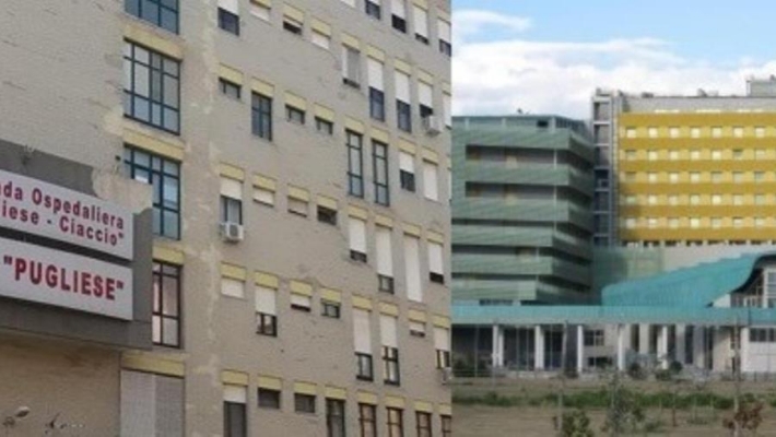 Catanzaro ricorsi contro la nascita della “Dulbecco”. I dettagli