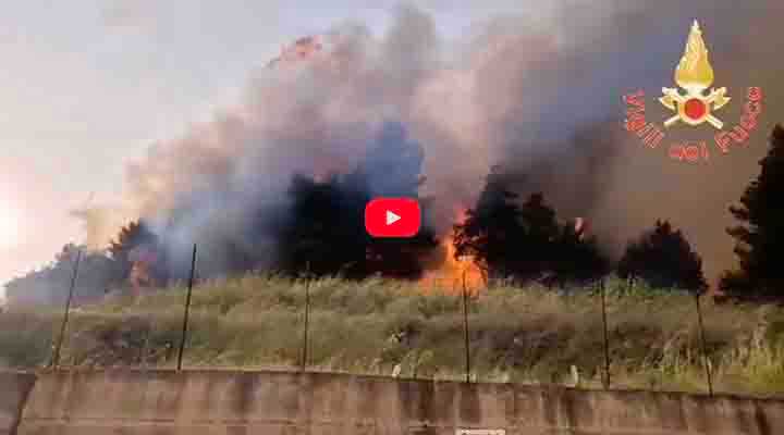Fiamme furiose: incendio devasta la vegetazione del quartiere Marinaro di Catanzaro. Video