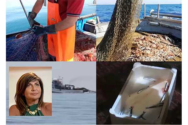L’on. Simona Loizzo (Lega) lancia un appello disperato a favore dei pescatori. 