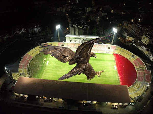 Catanzaro. Dichiarazione Nicola Fiorita su Stadio Ceravolo: pronto per ospitare le Aquile! I dettagli