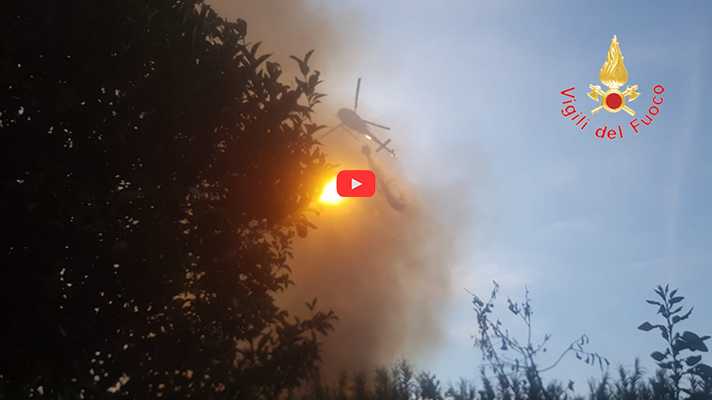 Intervento dei Vvf a Catanzaro: incendio di vegetazione a c.da Cucullera. Video