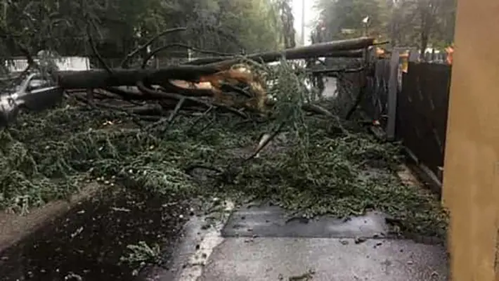 Violento nubifragio colpisce la Lombardia: tetti scoperchiati a Milano e tempesta d'acqua in Brianza