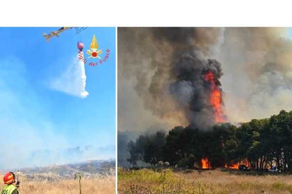 Vvf: intense operazioni di spegnimento degli incendi di vegetazione nelle province di Crotone e Isola Capo Rizzuto