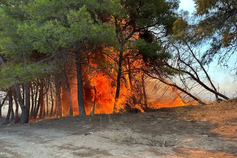 Sovereto a Isola Capo Rizzuto: Il Cuore del Territorio Sfida le Fiamme