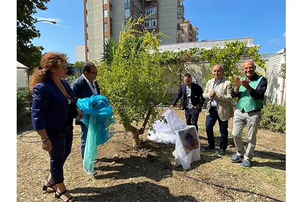 Garantire in Puglia l’accessibilità dell’assistenza sanitaria