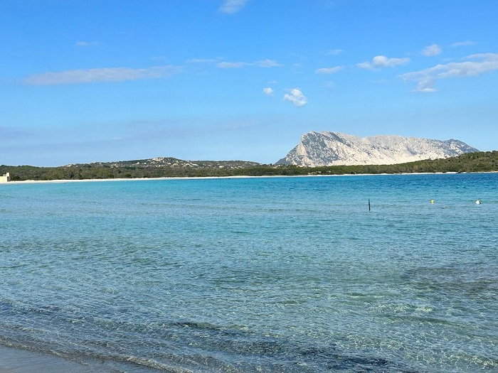 Progetto AlbatroSS presenta la Coppa del Mondo di nuoto paralimpico a San Teodoro