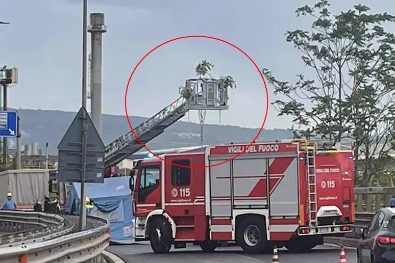 Cadavere bendato e appeso al guardrail: macabra scoperta a Trieste