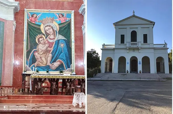 Un olivo bianco della Madonna a Porto con la benedizione di Papa Francesco