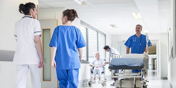 Nursing Up, De Palma: «Professione Infermieristica sempre ai primi posti per livelli occupazionali (80,6%)»