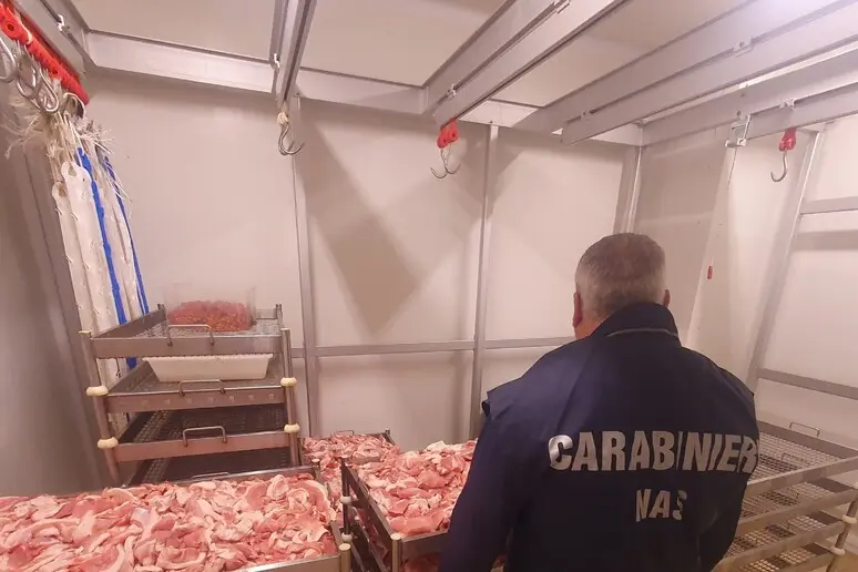 Calabria. Maxi sequestro di carni e salumi senza tracciabilità. Tutti i dettagli