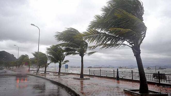 Previsioni meteo. Emergenza meteo in Italia: forti raffiche di vento e burrasche in arrivo