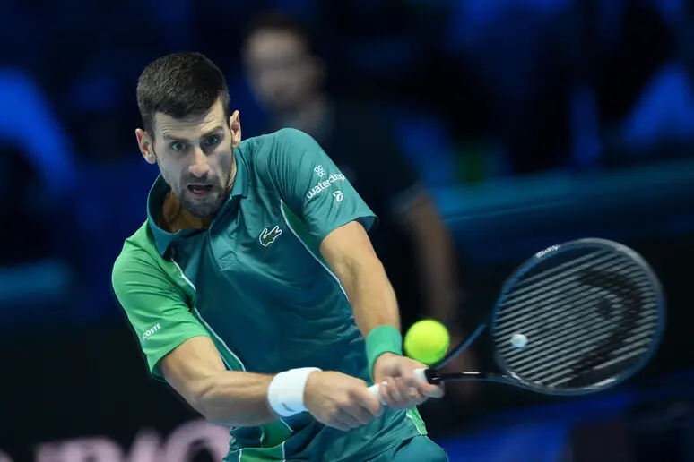 Tennis. Djokovic batte Hurkacz, semifinale Atp Finals a rischio passaggio in semifinale legata a risultato sfida Sinner-Rune