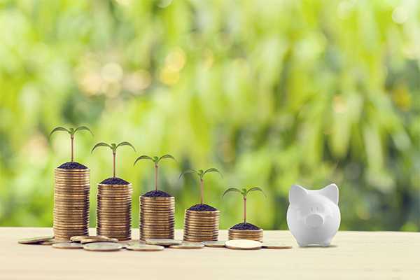 Le tipologie di finanziamento per investire nella green economy