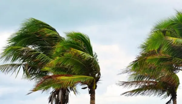 Previsioni meteo: arrivo imminente di tempesta Polare Zoltan in Italia. Tutti i dettagli