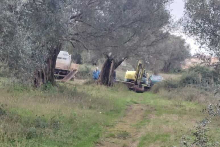 Tragedia in Calabria: trattore si ribalta, muore il 30enne Davide Tropeano nel terreno di famiglia