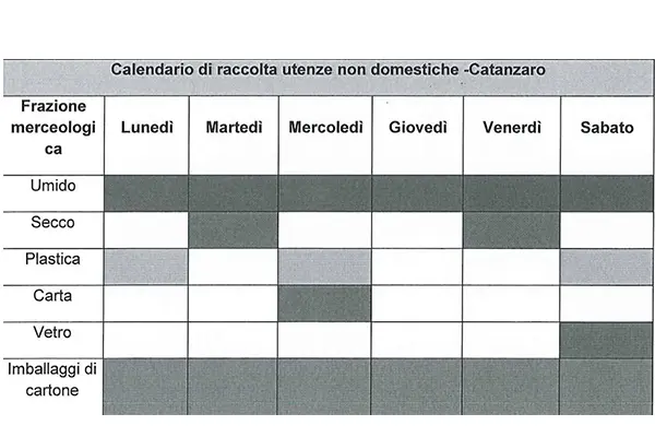 Catanzaro. Al via nuovo calendario differenziata carta e cartone per utenze non domestiche