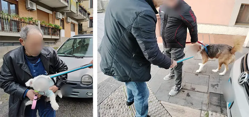 Polizia locale di Catanzaro intensifica controlli: multe per deiezioni canine e microchip obbligatori