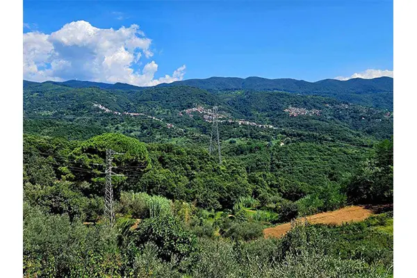 Dichiarazione del Sindaco di Polia sull'annessione territoriale messa in atto dall'Onorevole De Nisi