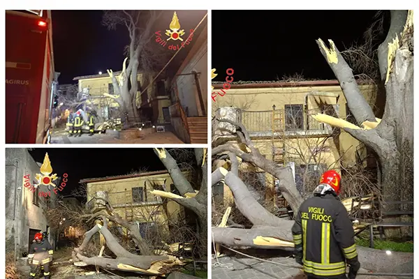Intervento urgente dei Vvf a Belcastro: Messo in Sicurezza il Luogo dell'Albero della Libertà