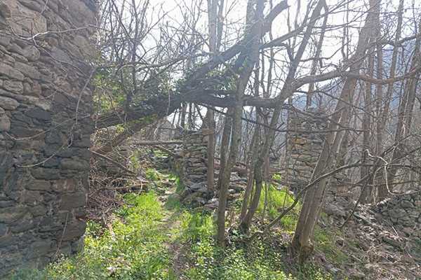Trovata morta vicino Aosta, ferite gravi suggeriscono cause violente