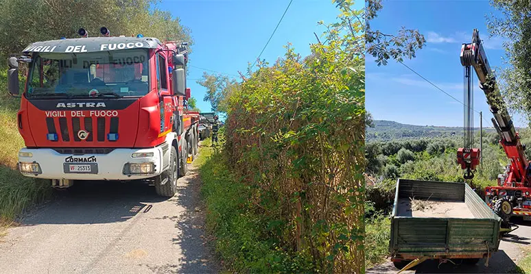 Tragedia in Campagna: Incidente Mortale a San Calogero. Intervento dei Vvf